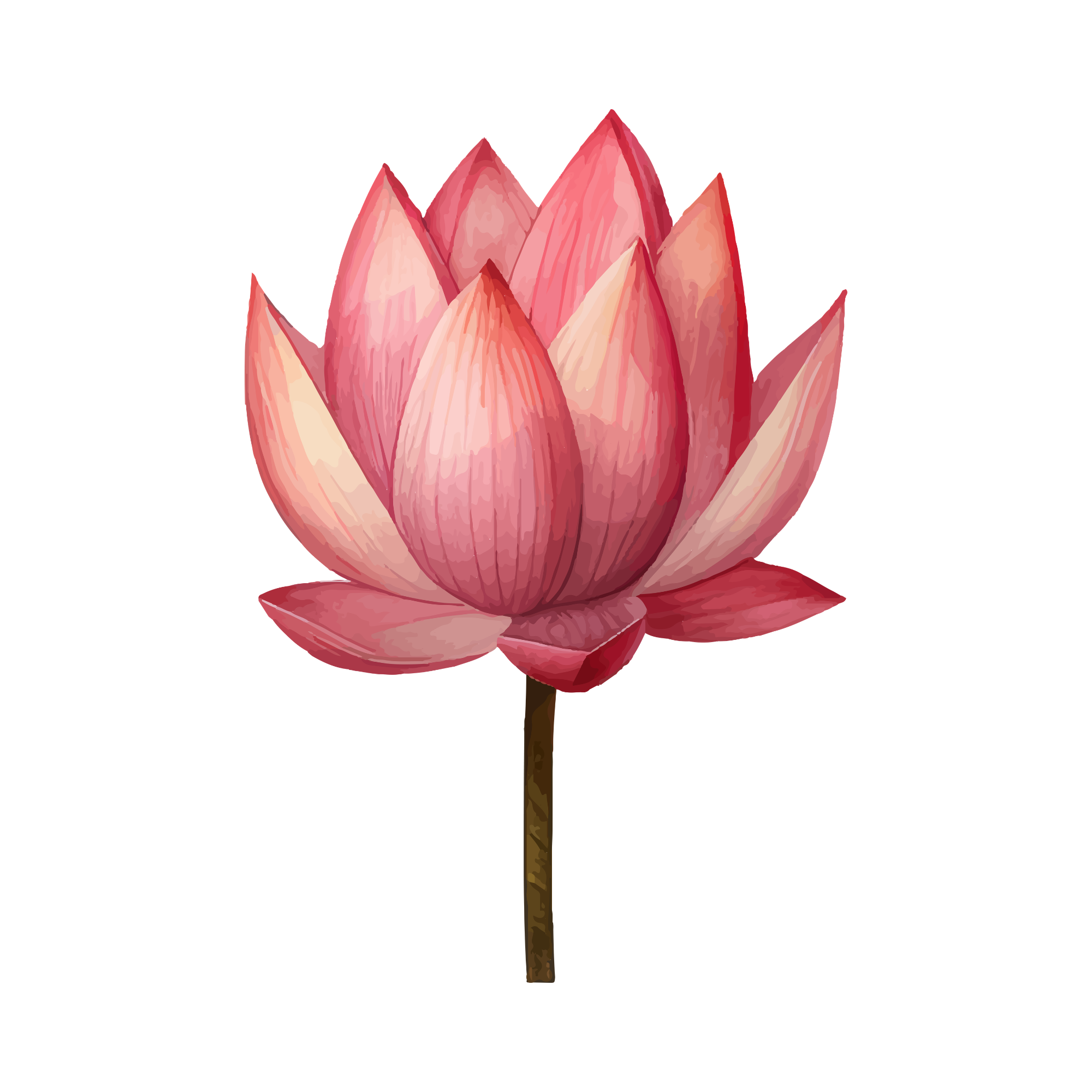 The Blooming Practice